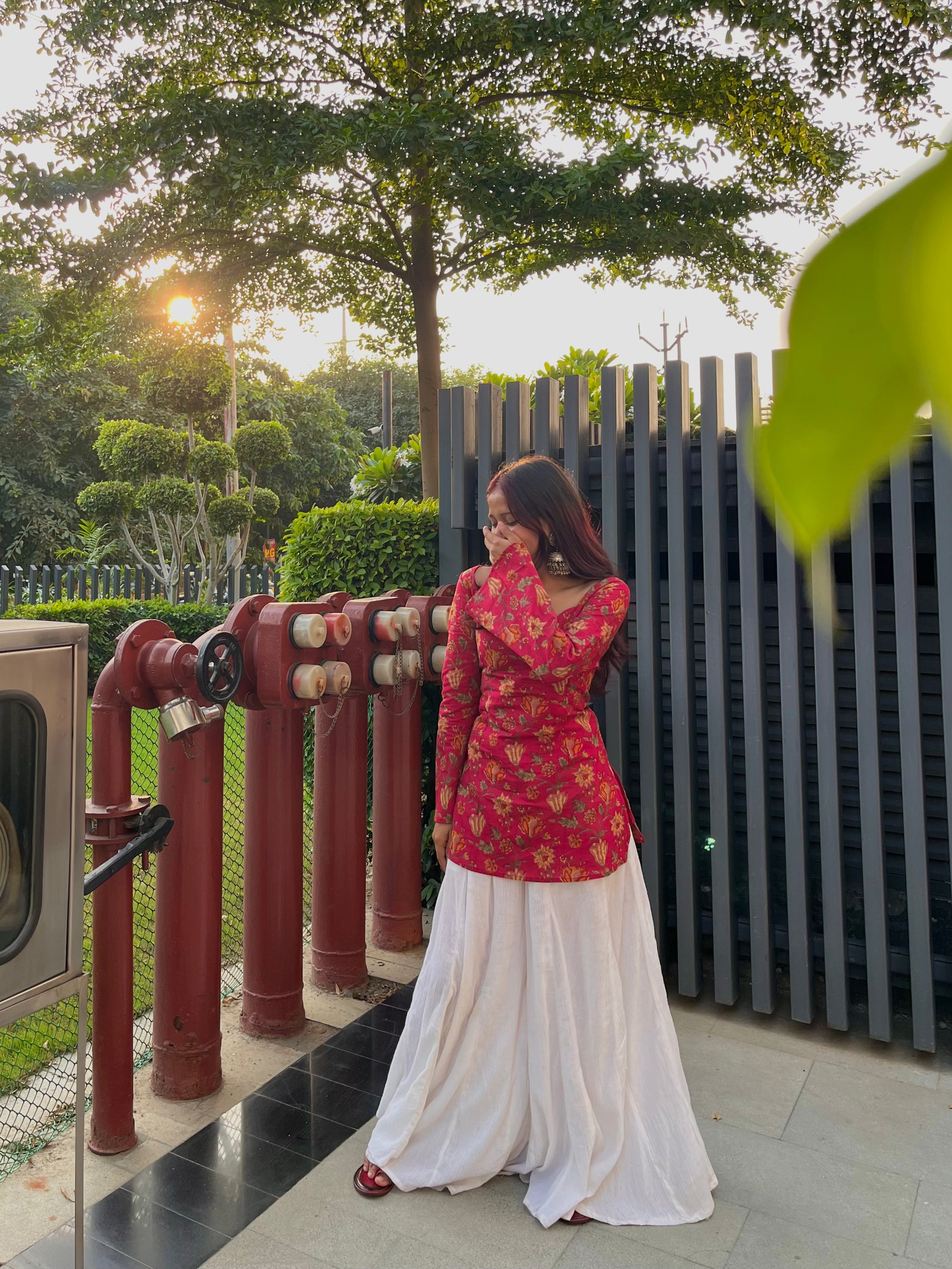 Gulaabi Noor-गुलाबी नूर